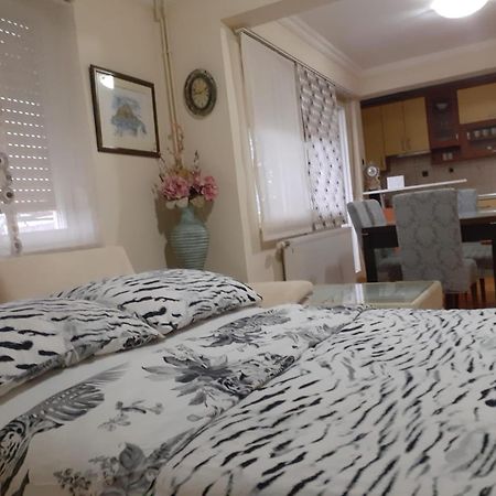 Spacious 80M2 Apartment In The Center Ljubuški エクステリア 写真